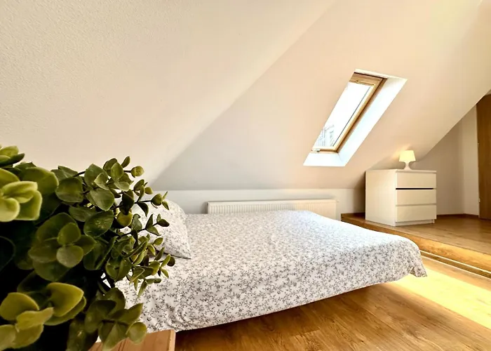 Хостел Nw Pokoje